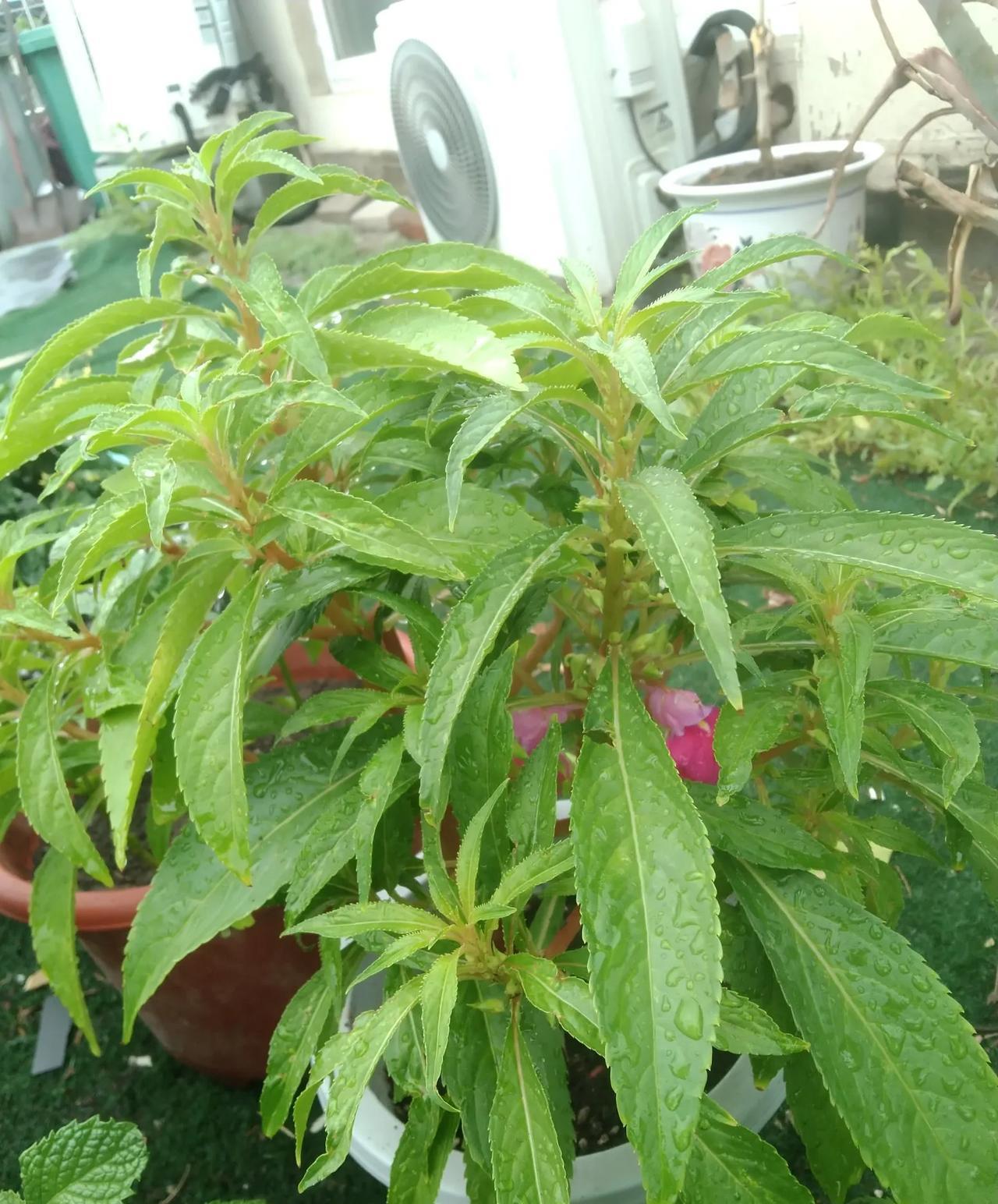 眼睛黑的，心是红的
眼睛一红，心就该黑了