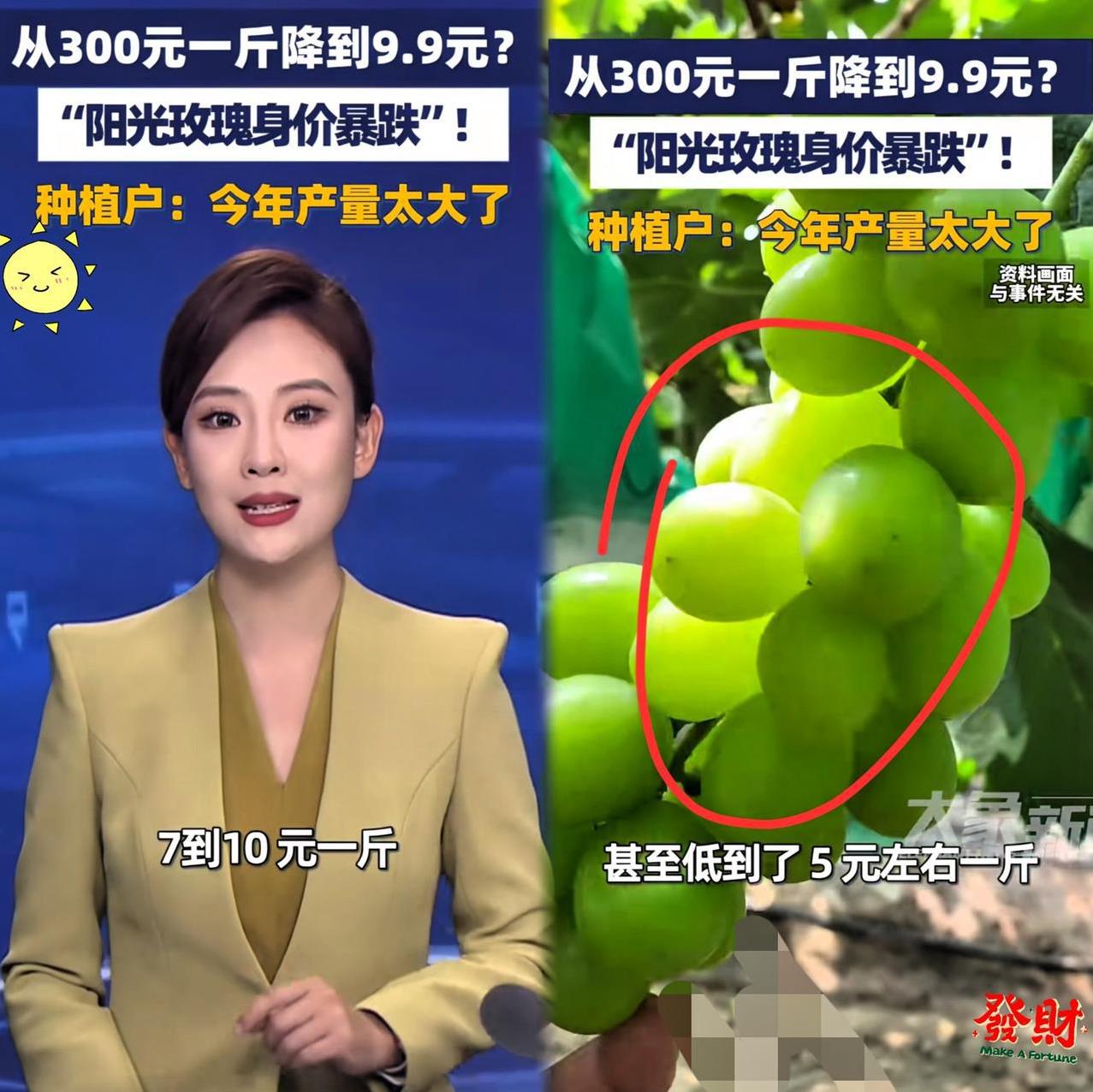 日本大概很后悔把阳光玫瑰葡萄引入中国，辛苦杂交、培育了接近20年的优质品种，本想