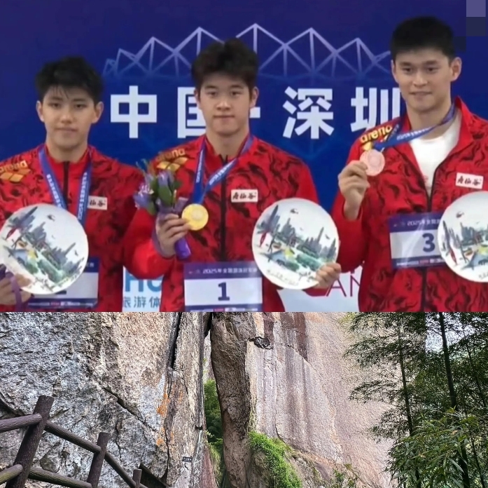 浙江这下估计要乐坏了

不是因为潘展乐费立纬孙杨包揽了前三

也不是因为他们三个