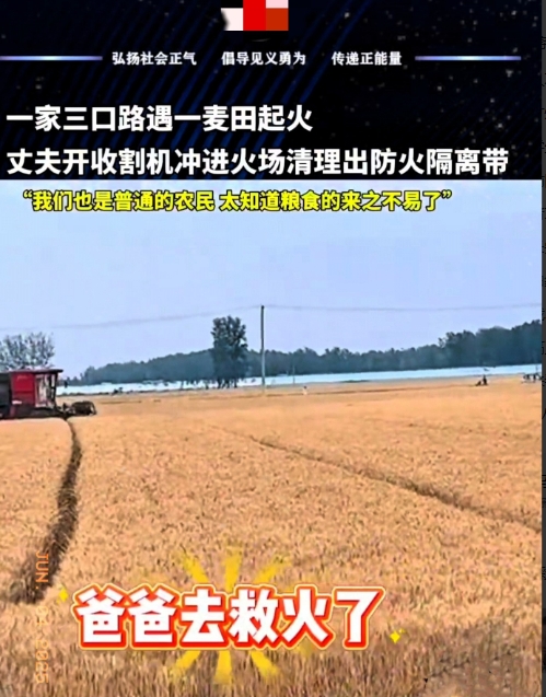 “这个男人火到央视了！”山东20亩小麦起火，男子冒死开收割机抢收！他的一句话却让