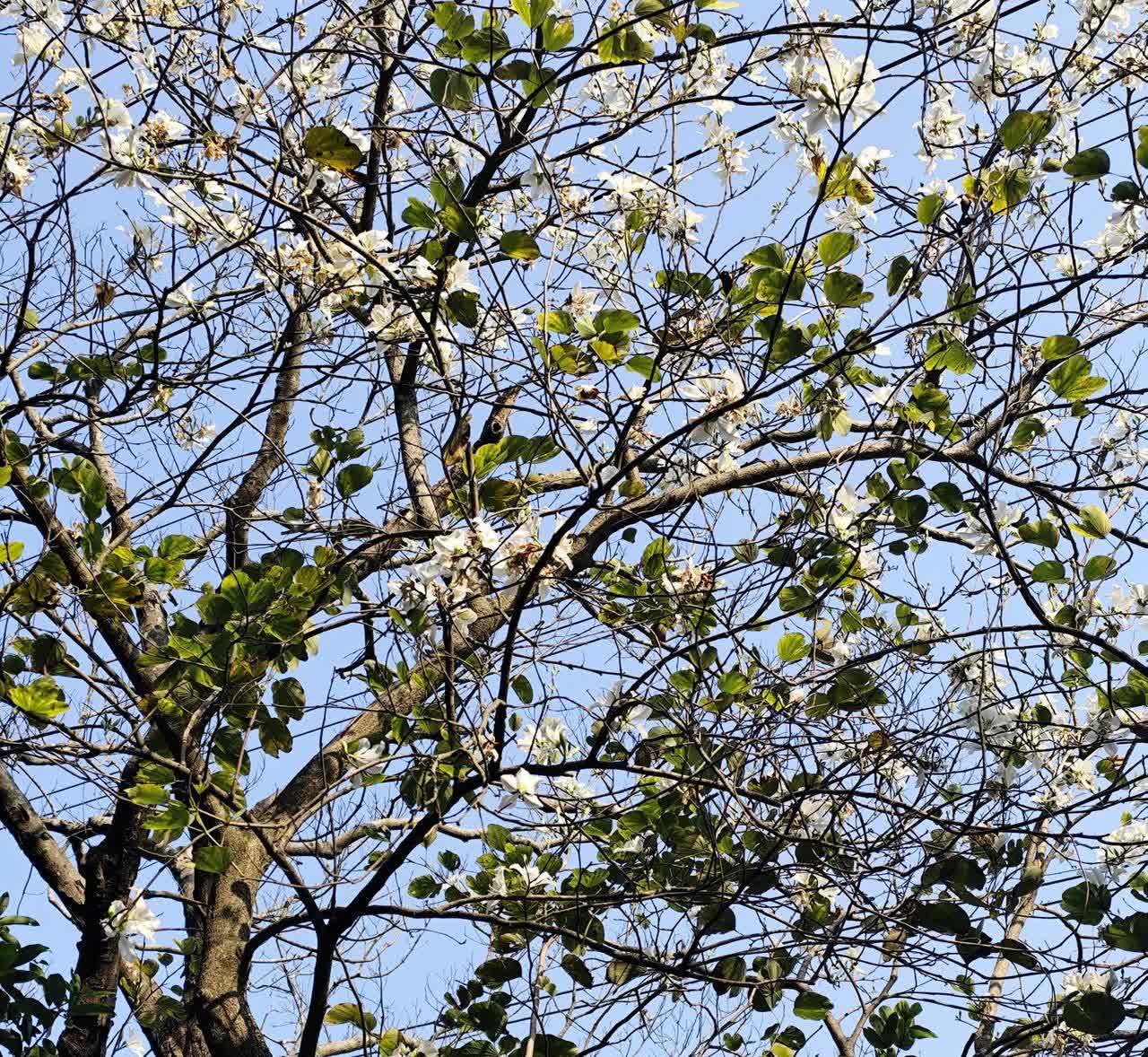 在南方，玻璃水就是智商税，在北方，只要不结冰，春夏秋也是智商税。
我的凯美瑞，