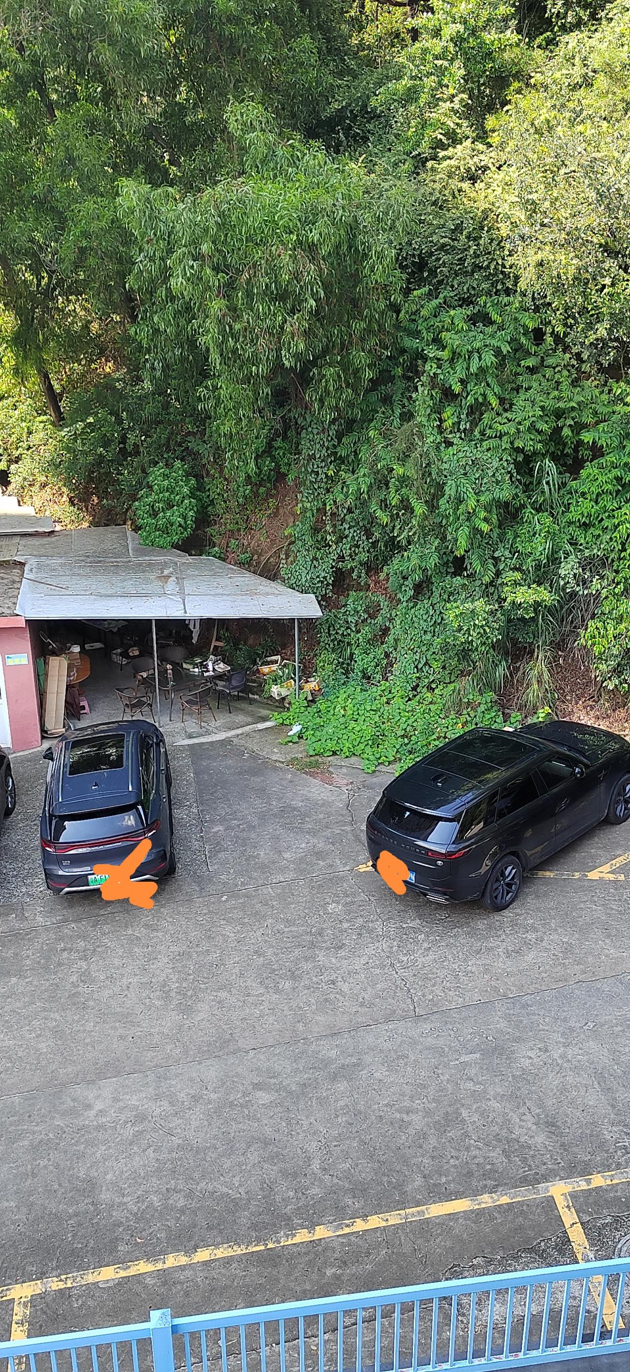 感谢比亚迪，让我开着22款的dnp旗舰