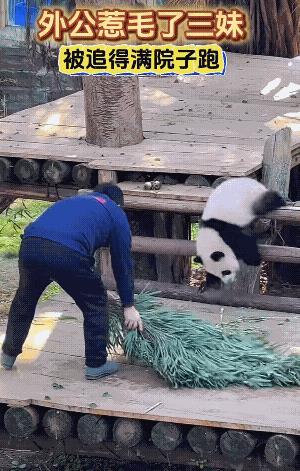 哈哈跟小孩儿斗智斗勇，干这份活，可能是最开心的事吧![大笑][玫瑰]