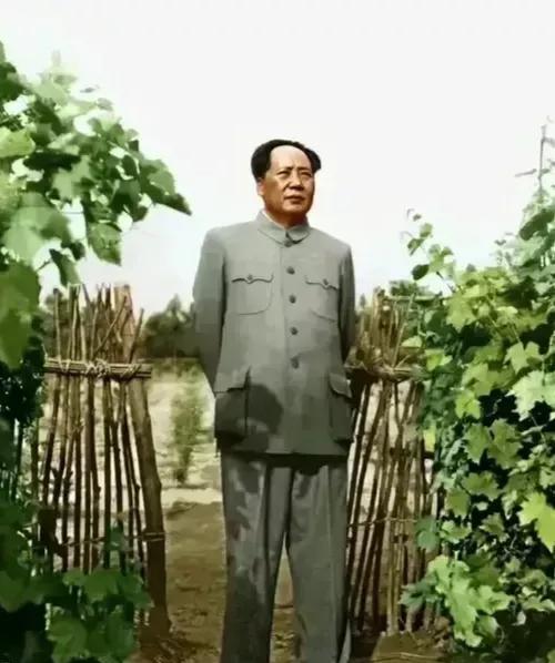 穷则思变，要干，要革命的气派！居篱笆，穿布鞋，与人民同呼吸，共命运！人民的领袖！