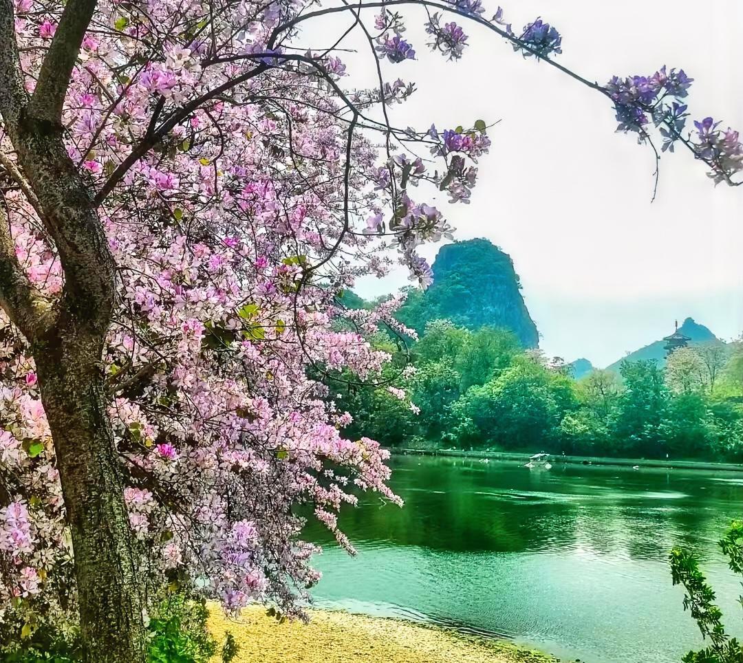 我亲戚的孩子今年参加高考，成绩还不错。
他们生活在一个三线城市，我建议让孩子到大