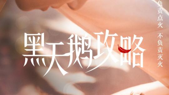 短剧《黑天鹅攻略》心动的旅程，情深的陪伴--黑天鹅攻略（65集）陈名豪＆温茉言