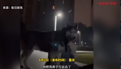 “必须严惩！”2月24日，重庆，一男子在小区里发现两个女孩遛狗不牵绳，便上前提醒