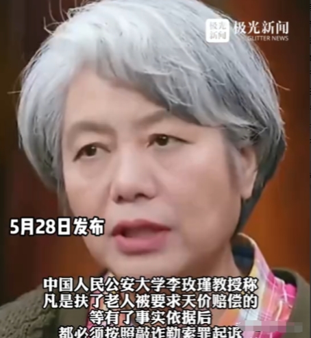 “不够判刑，那就高额罚款！”中国人大李玫瑾教授去年建议，凡是扶了老人被要求天价赔
