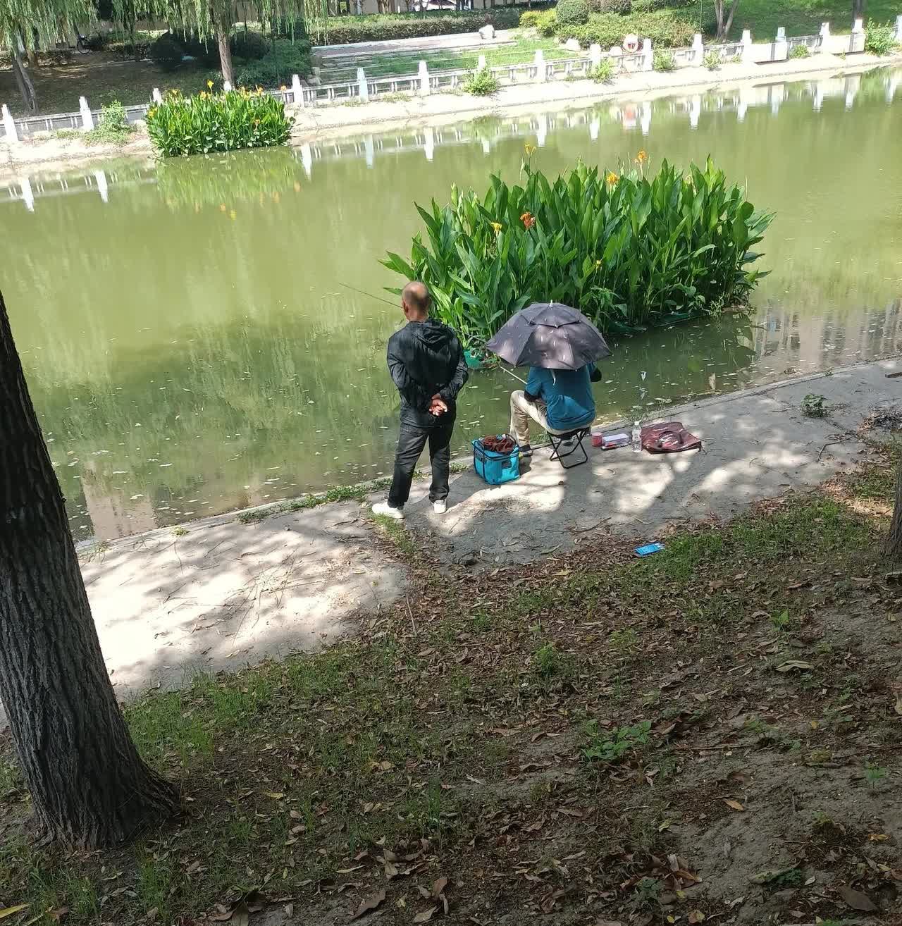 今天(7月27日，星期天)上午，在湖北省荆州市沙市区西干渠北岸，塔桥路至园林路一