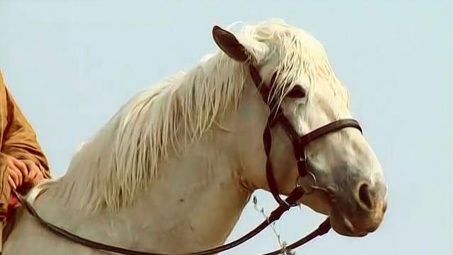 的卢之死——《三国的碎珠》综合篇