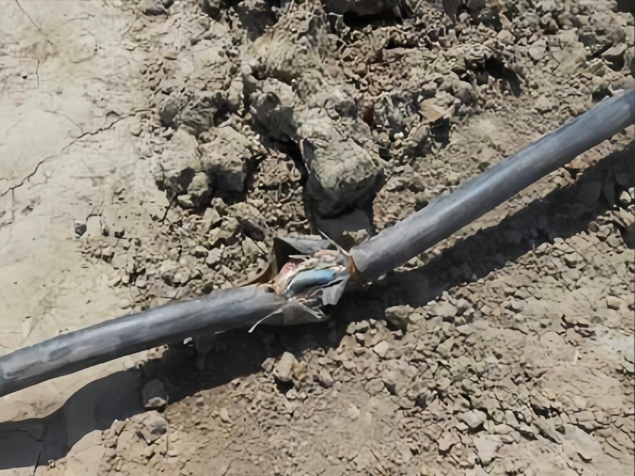 凯铭诺电缆综合监测与定位装置：智能守护供电安全