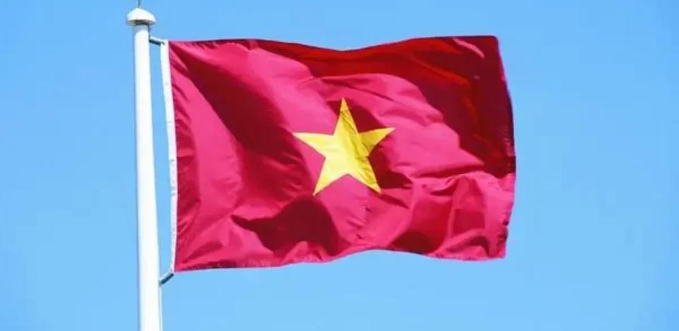 越南给美国出了一个难题！在美国对越南加税46%之后，越南领导人苏林出来表态了！在