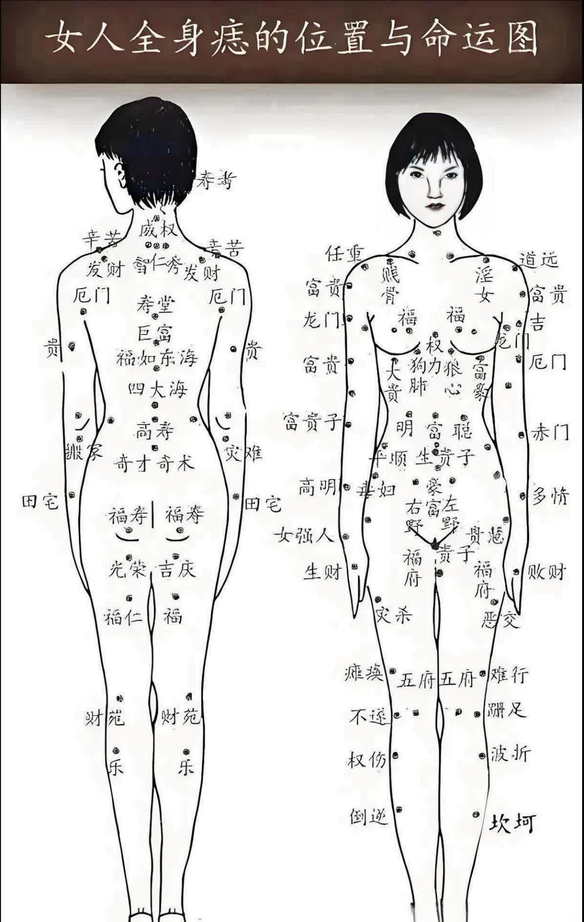 身上的痣长在哪里？有说法。
•1.下巴有痣，一定多才。
•2.屁股有痣，定有