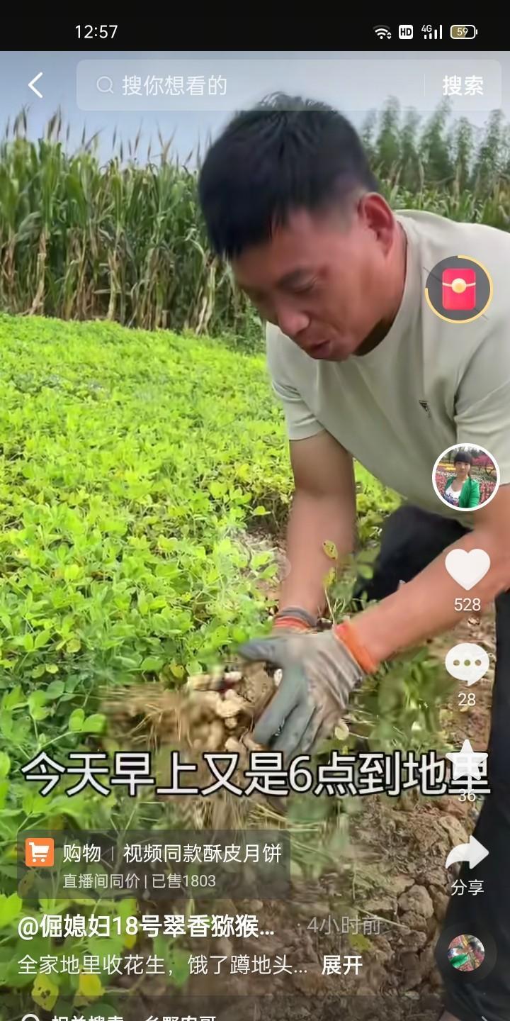 华强太懒，别的种地人四点多天蒙蒙亮就到地里了，他六点到地里还值当的拍视频说，他是