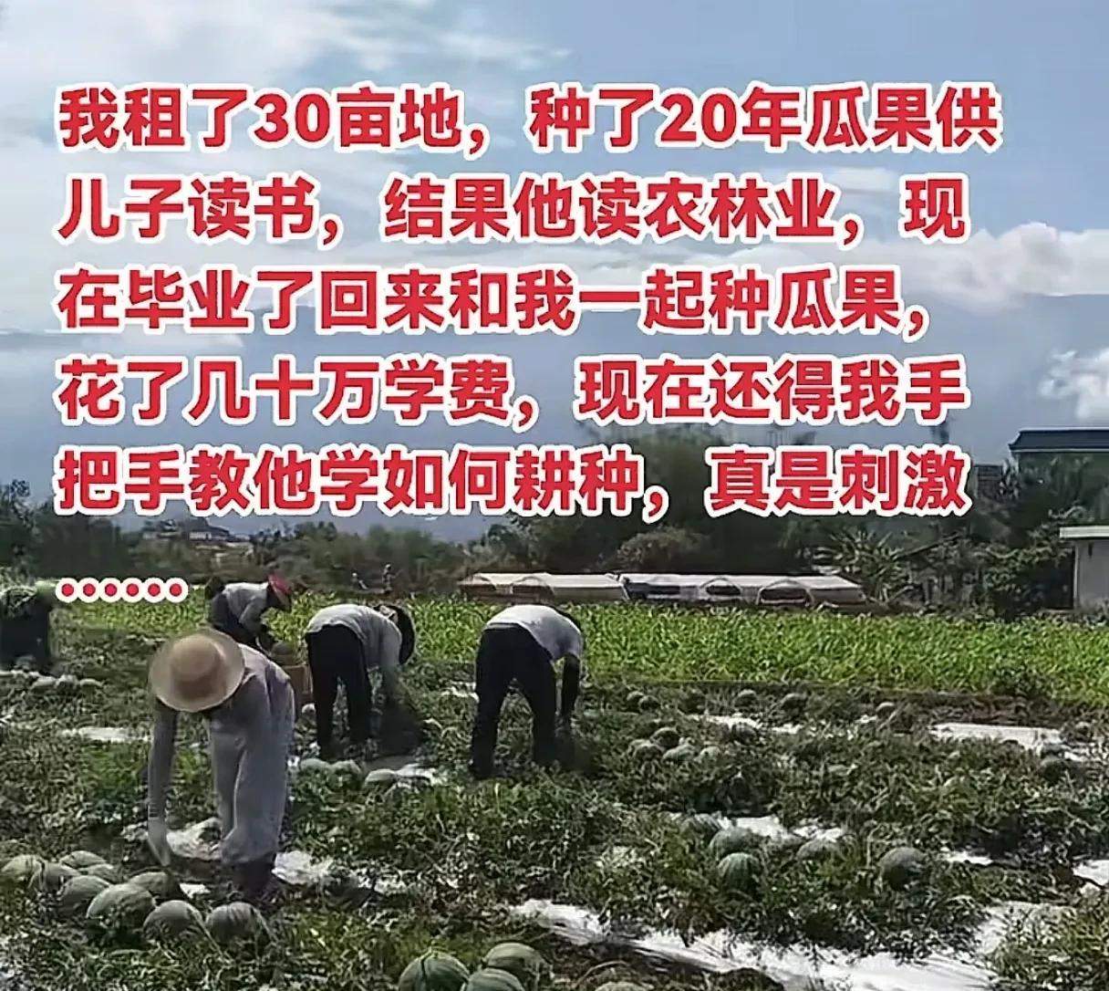 跟我老家的一个表弟的情况一样，表弟的爸妈种了一辈子的地，结果他却考上了西北农林科