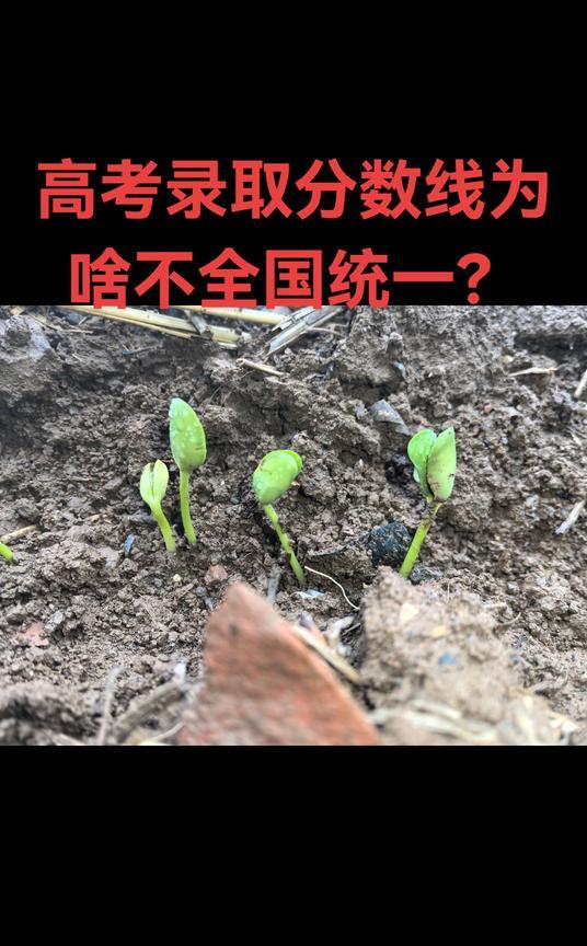 高考录取分数线为啥不全国统一？#高考 #录取通知书 #分数线 #高考