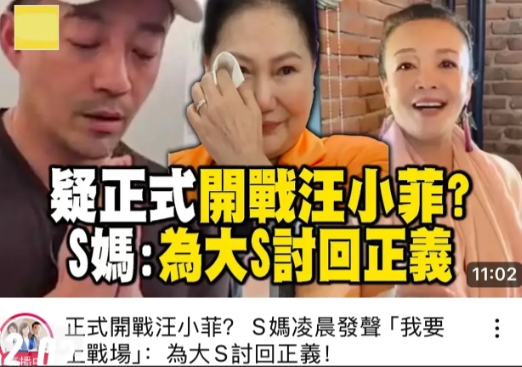 真的被网友说中了，大s离世只是故事的开头。初步猜想她是不是想要那个豪宅和孩子的抚