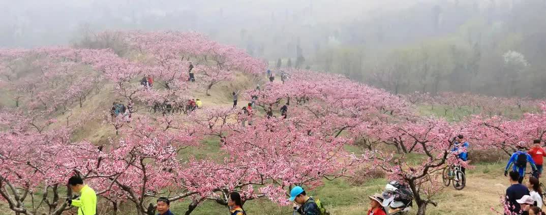 大娘恨恨地说，
那个人被打造成伟大善良的人，
而把我打造成反差很大的人，
