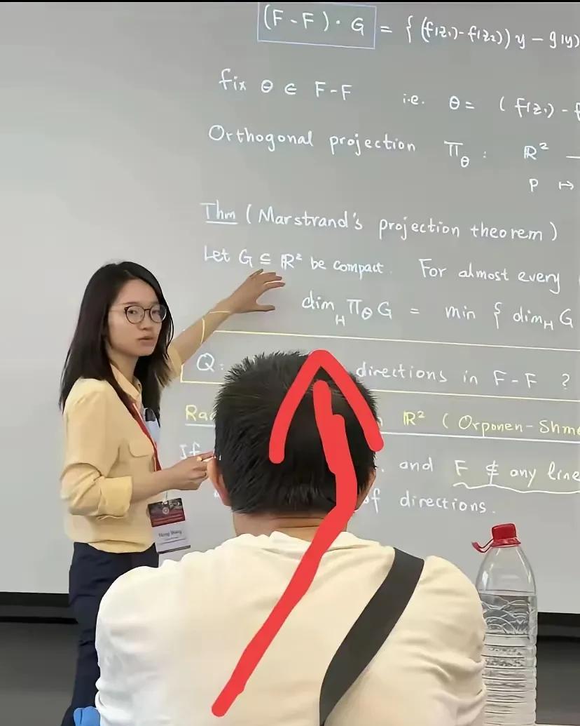 大家说这位在北大讲座的中国籍数学家王虹，近年来一直在美国学习教学，以她目前在数学