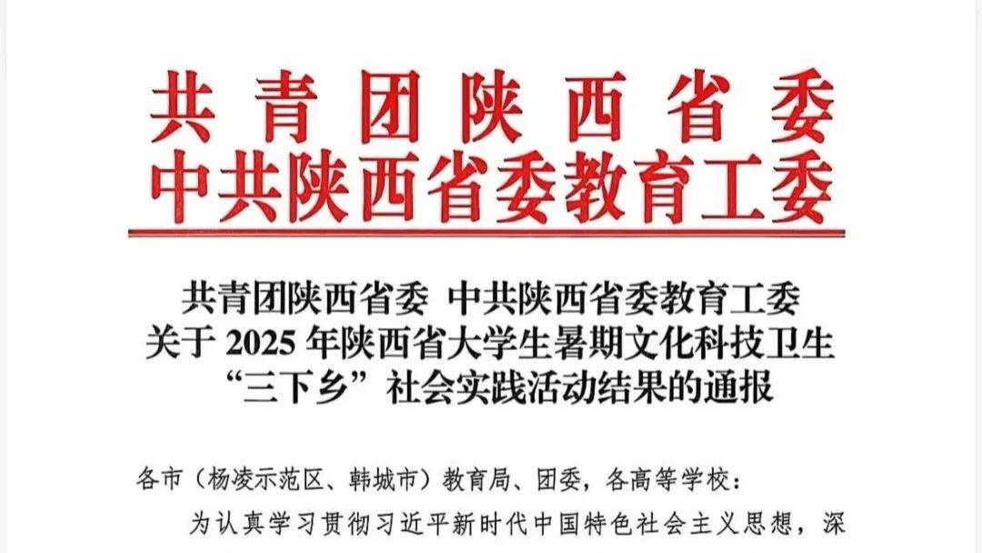 宝鸡职院在2025年陕西省大学生暑期文化科技卫生“三下乡”社会实践活动中荣获佳绩！