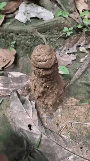 这手真欠儿呀
辛苦一辈子，你三两下给搞没了