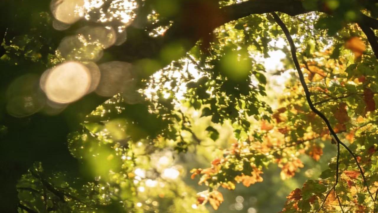 农户遭到合同欺诈 百万投入陷绝境求公道