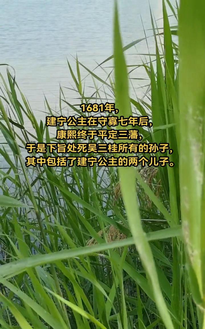 1681年，建宁公主在守寡七年后，康熙终于平定三藩，于是下旨处死吴三桂所有的孙子