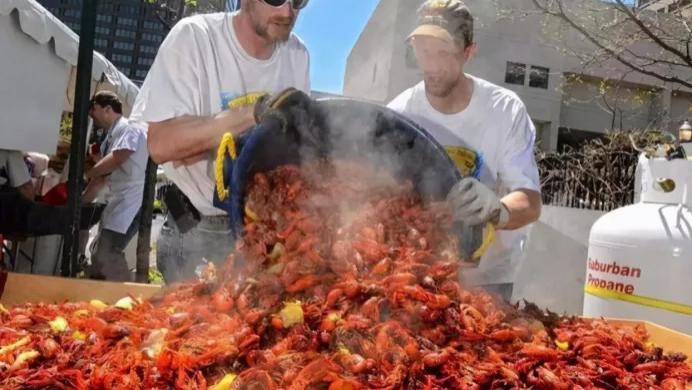 德国野生小龙虾泛滥成灾，白送都没人吃，中国网友：真浪费！