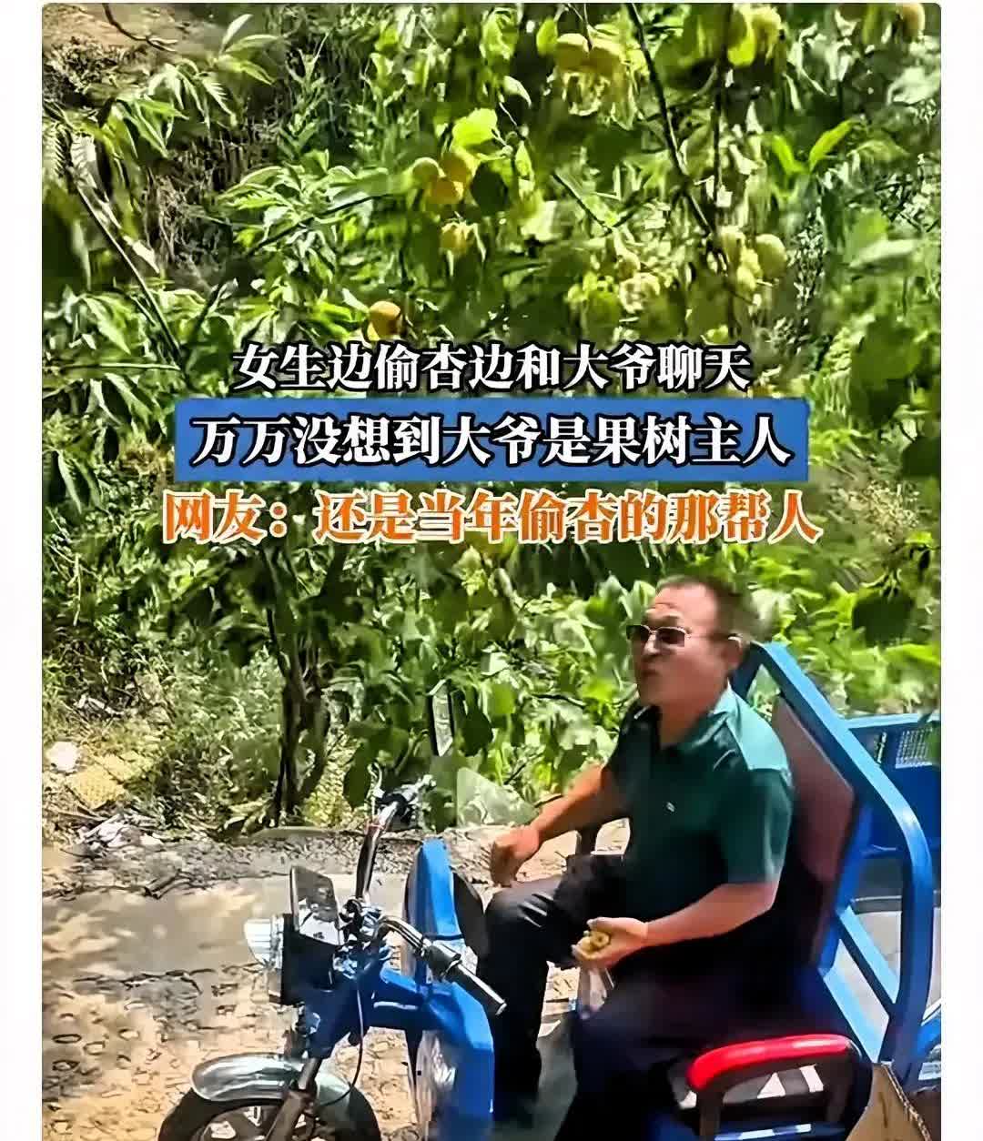 离谱！偷杏被抓现场变欢乐局？

这几日有一女子发文，讲述自己偷杏被撞个正着的