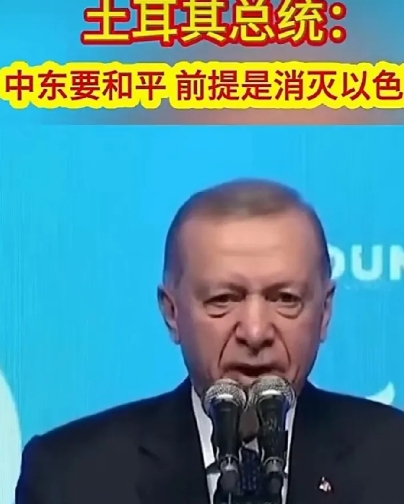 埃尔多安总统能来点实的吗？
网曝：土耳其总统埃尔多安发布严厉声明：中东要和平，前