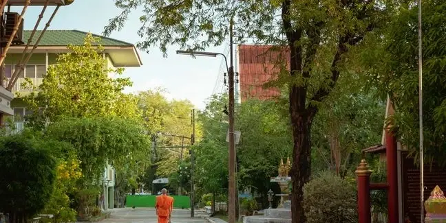 泰国佛寺惊现 尸体修行 丑闻：73 具遗骸藏鳄鱼池畔 住持被控亵渎宗教