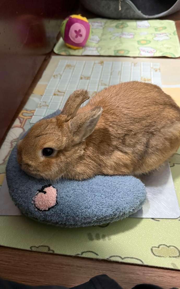 #万能生活指南#