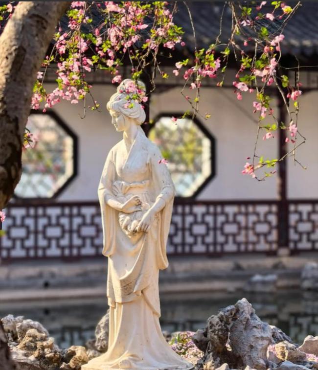 当年买房时，我和朋友的钱差不多，她选择买清凉门一套小房子，每天都可以去莫愁湖跑步