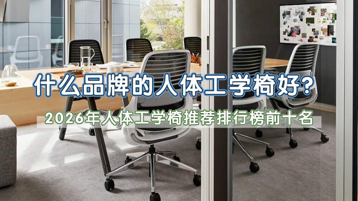 什么品牌的人体工学椅好？2026年人体工学椅推荐排行榜前十名