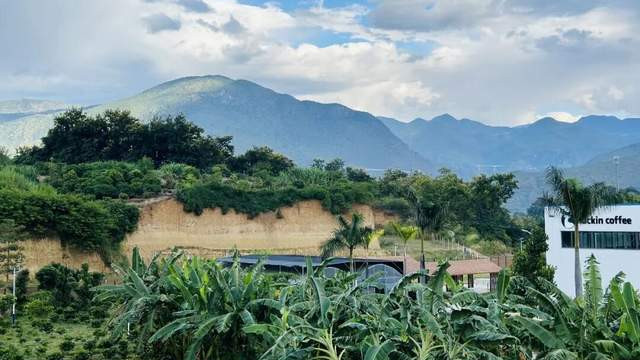 云南有一家为“中国最美小鸟”让路的咖啡工厂