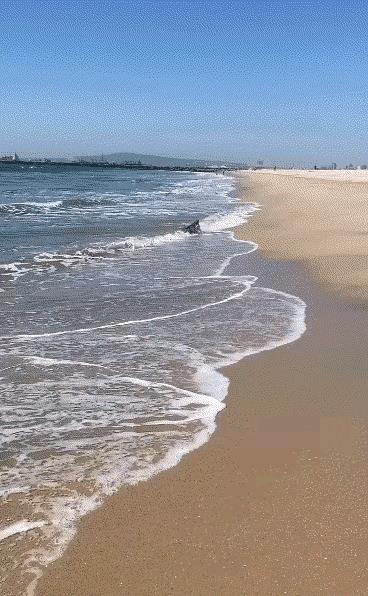 海滩上，一只老鹰逮到了一条大鱼。可是，这条鱼实在是太大了，完全超出了这只老鹰能够