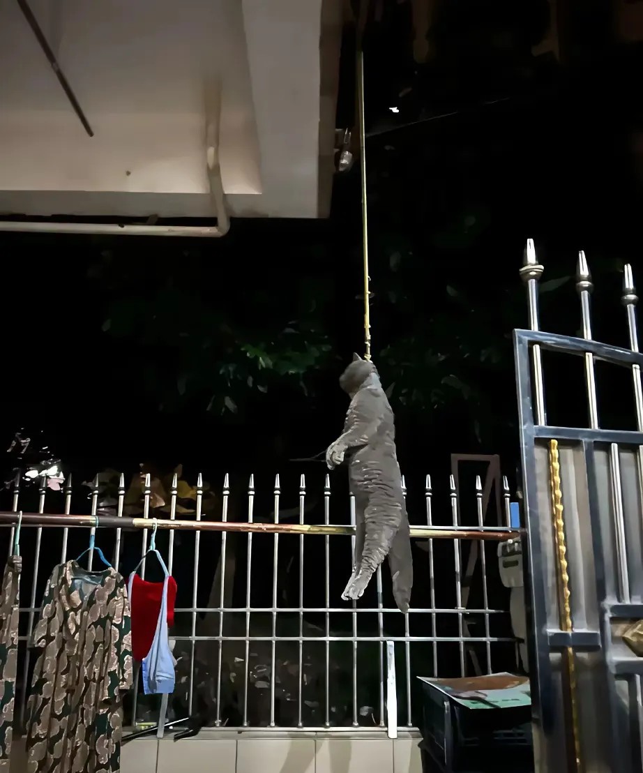以后再也不敢给猫咪拴上绳子留在家里了，晚上打牌回来。看见猫咪就这样直直的吊在了1
