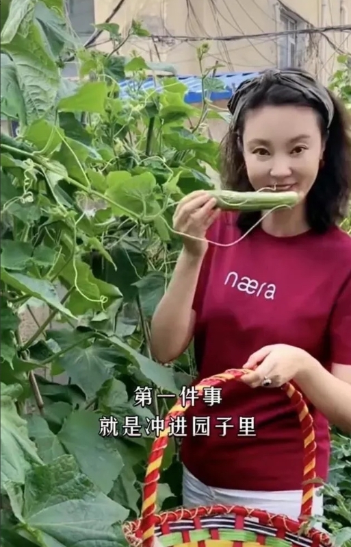 刘芳菲央视辞职后，单身生活自得其乐！现年48岁的她，还是单身贵族，无儿无女，却把