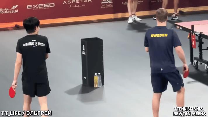 王楚钦打台球被安东模仿动作蛐蛐！
前阵子刚过去的多哈世锦赛，王楚钦夺得男单和混双