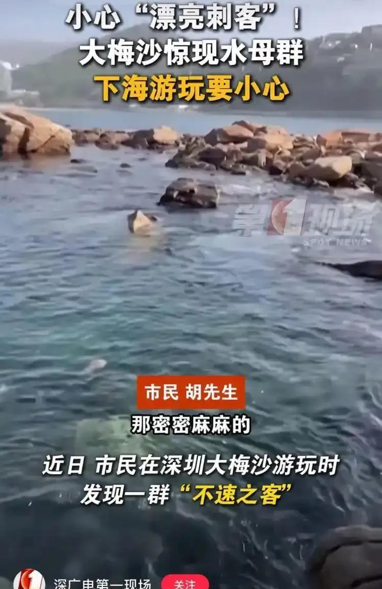 去广东海边玩的一定要注意！最近海里出现好多“伪装大师”，长得像塑料袋又像轻飘飘的