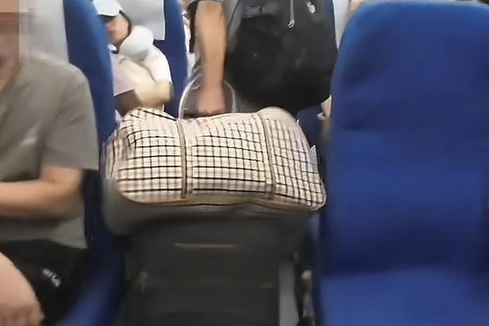 单亲妈妈带着4个孩子坐高铁回娘家，被列车工作人员补三张票事件，我看到还有不少热心