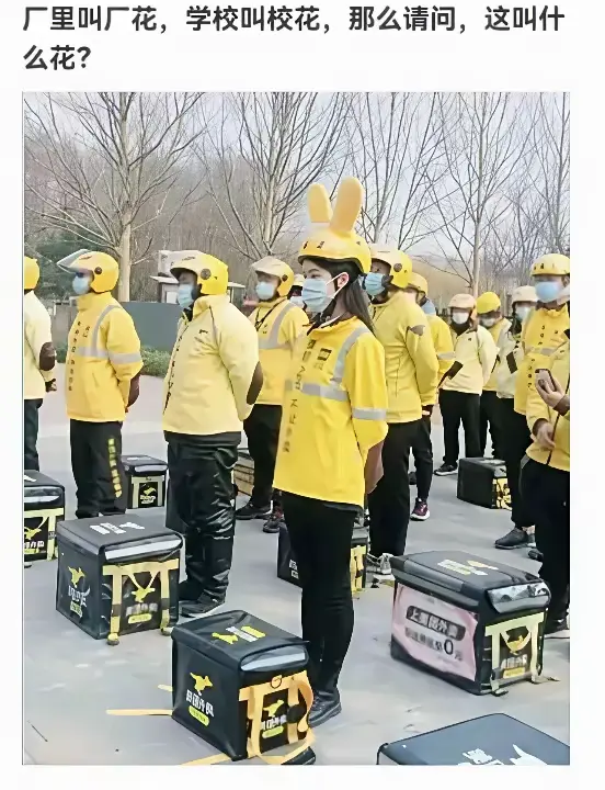 厂里的叫厂花，校里的叫校花，那这个叫什么花
