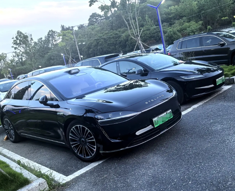 今天在公园一角看到一辆享界S9，和旁边的特斯拉比起来显得圆润饱满，车体也大，黑色