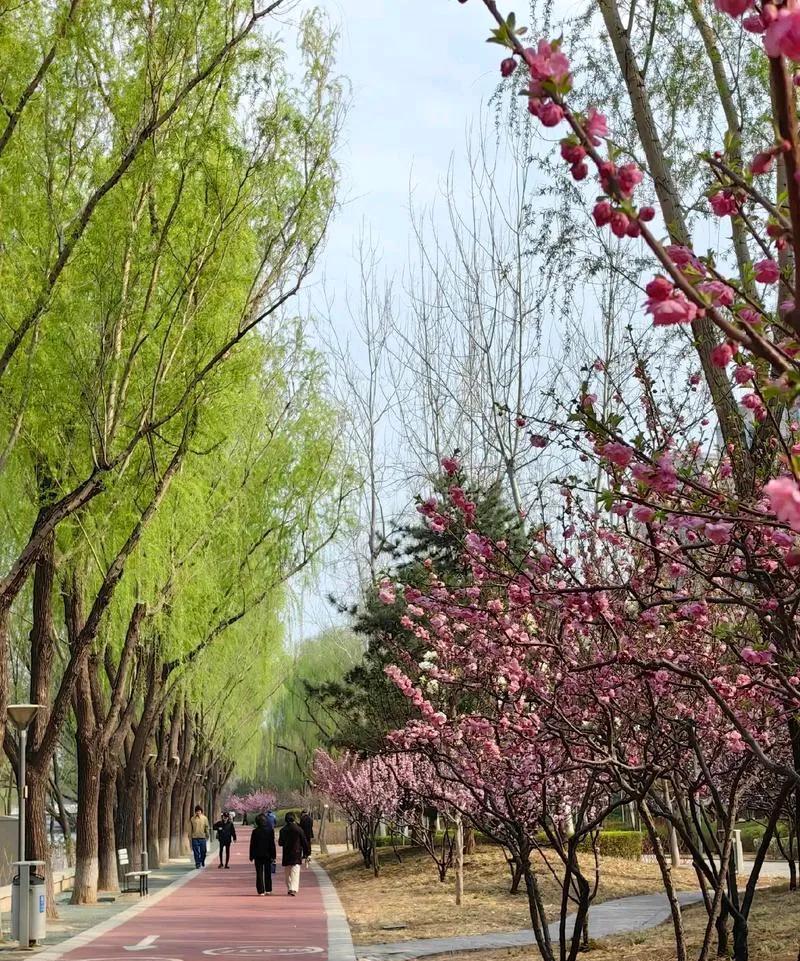 今天上午我们河南淇县的天气还是非常不错，
微风轻拂，
也不像昨天那么闷热了。
应