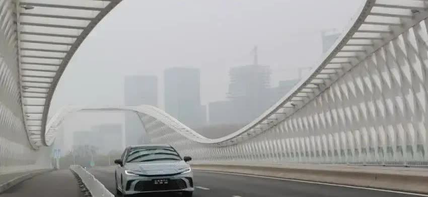专家预测：未来中国国产汽车只剩下6家！
1、比亚迪汽车（代表深圳）
2、长安