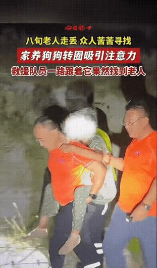 “现实版的忠犬八公！”，山东龙口，八旬老人走失，众人人苦苦寻找，家养柯基转圈吸引