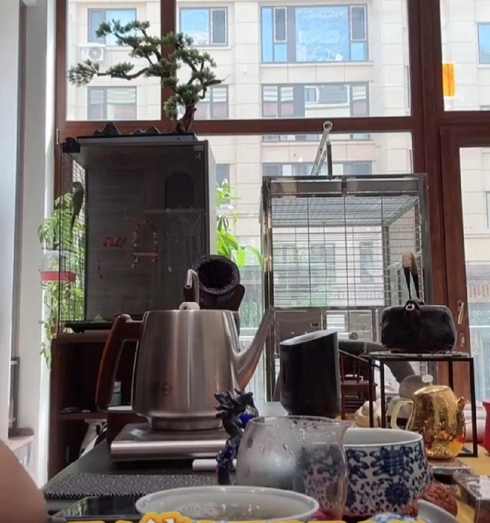 T佑说现在的互联网网红不值钱，价值太便宜了！
             T佑说自