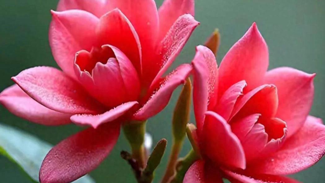 删繁就简，有的放矢，提升能力，掌控命运