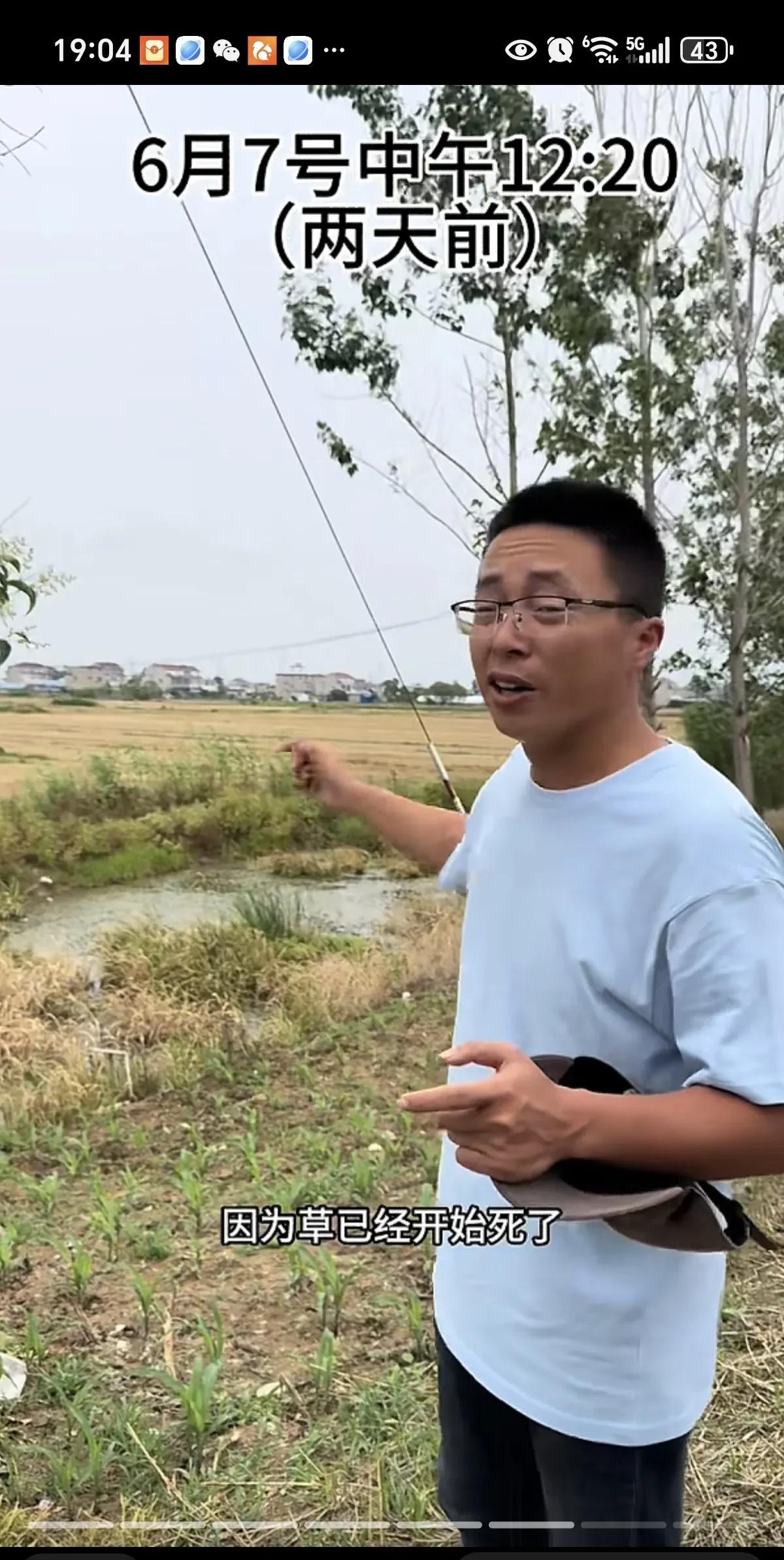 真是离大谱！提灯定损之后又出新词叫拔苗避险！近日，安徽蚌埠农民发现当地灌溉农田的