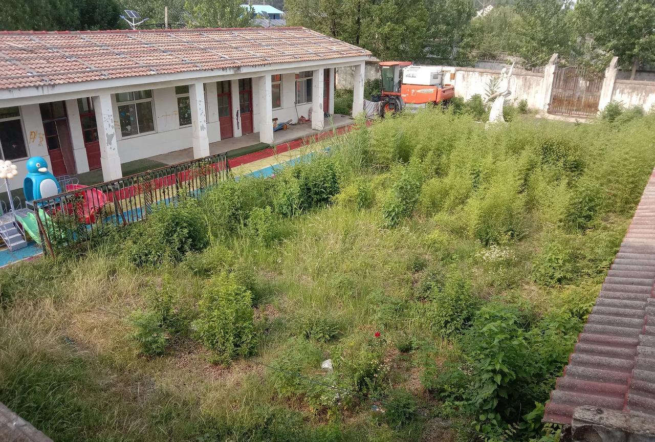 我曾经是一名小学代课教师，在本村公办小学代课3年，教的是小学1－2年级。
当时很